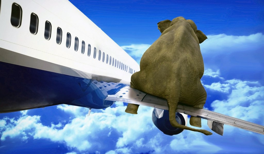 Обои небо, облака, самолет, слон, the sky, clouds, the plane, elephant разрешение 1920x1200 Загрузить