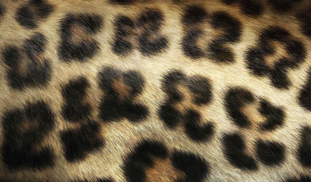 Обои текстура, леопард, мех, texture, leopard, fur разрешение 1920x1200 Загрузить