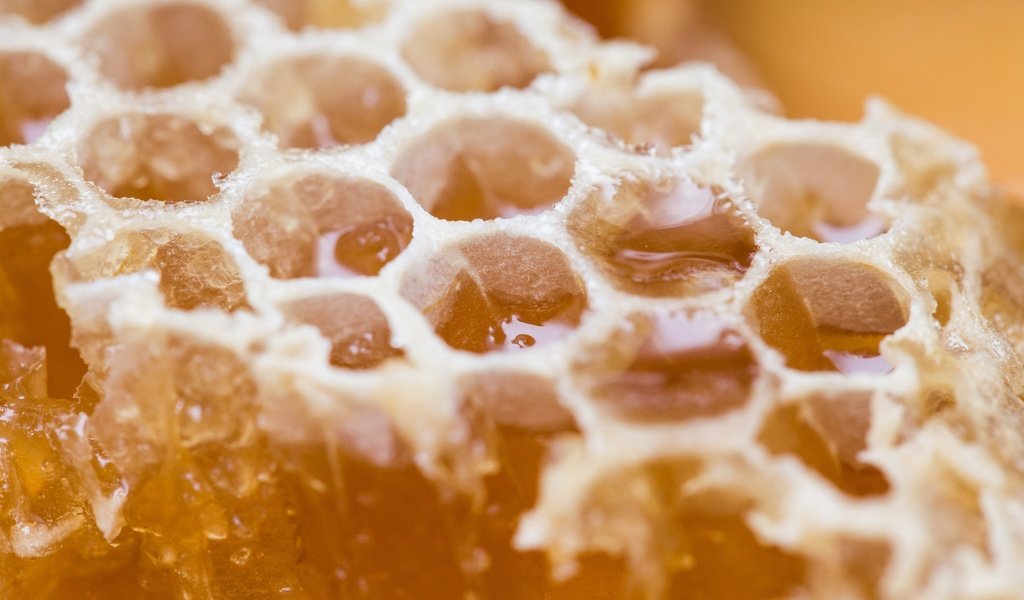Обои макро, соты, сладкое, мед, macro, cell, sweet, honey разрешение 2572x1715 Загрузить