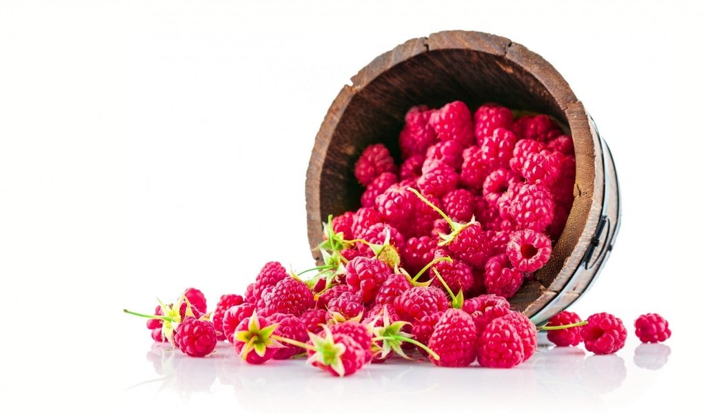 Обои малина, ягоды, белый фон, ведерко, raspberry, berries, white background, bucket разрешение 1920x1199 Загрузить