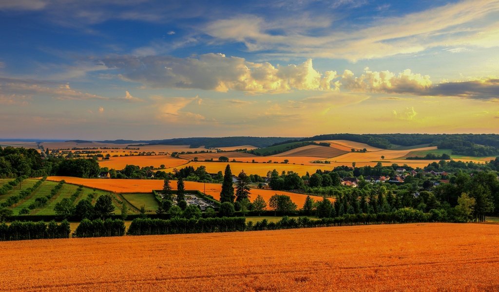 Обои облака, деревья, поля, панорама, франция, шампань-арденны, clouds, trees, field, panorama, france, champagne-ardenne разрешение 3000x1997 Загрузить