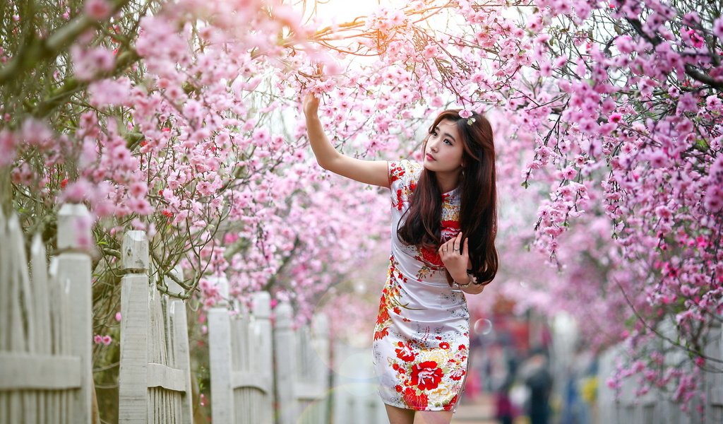 Обои девушка, забор, весна, сакура, азиатка, girl, the fence, spring, sakura, asian разрешение 2560x1600 Загрузить