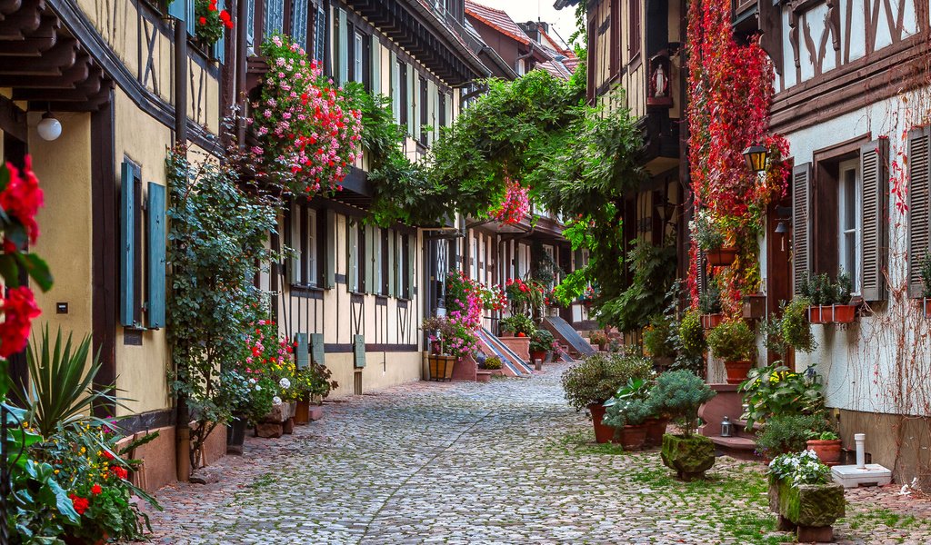 Обои цветы, дома, улица, германия, мостовая, генгенбах, flowers, home, street, germany, bridge, gengenbach разрешение 2048x1338 Загрузить