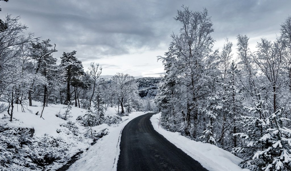 Обои небо, дорога, облака, деревья, снег, зима, чёрно-белое, the sky, road, clouds, trees, snow, winter, black and white разрешение 2880x1457 Загрузить