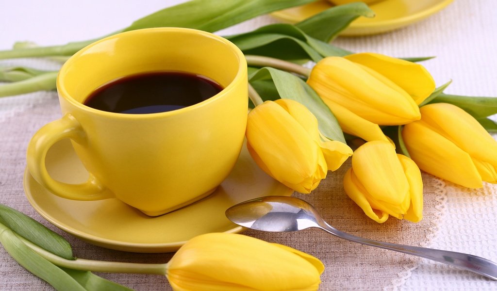 Обои цветы, кофе, тюльпаны, чашка, завтрак, жёлтая, кубок, тульпаны,  цветы, flowers, coffee, tulips, cup, breakfast, yellow разрешение 2880x1920 Загрузить