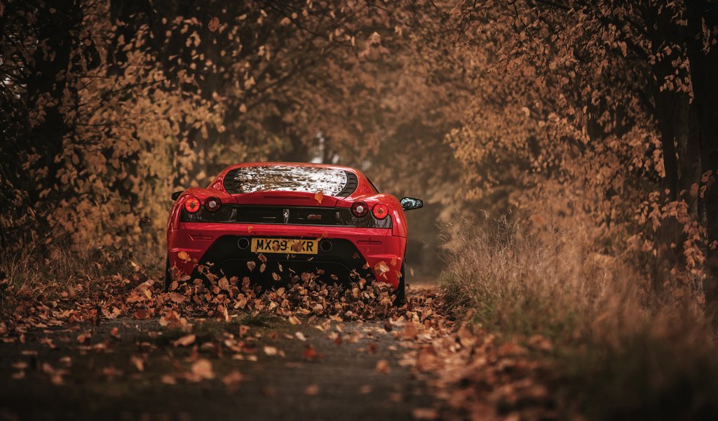 Обои листья, осень, красный, автомобиль, феррари, 430 scuderia, leaves, autumn, red, car, ferrari разрешение 3000x2002 Загрузить