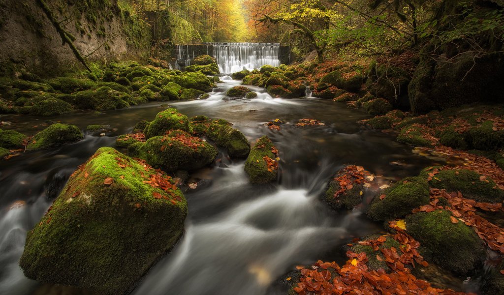 Обои река, каскад, камни, areuse gorge, val-de-travers, лес, ущелье аройзе, листья, водопад, осень, швейцария, мох, river, cascade, stones, forest, the areuse gorge, leaves, waterfall, autumn, switzerland, moss разрешение 2048x1365 Загрузить