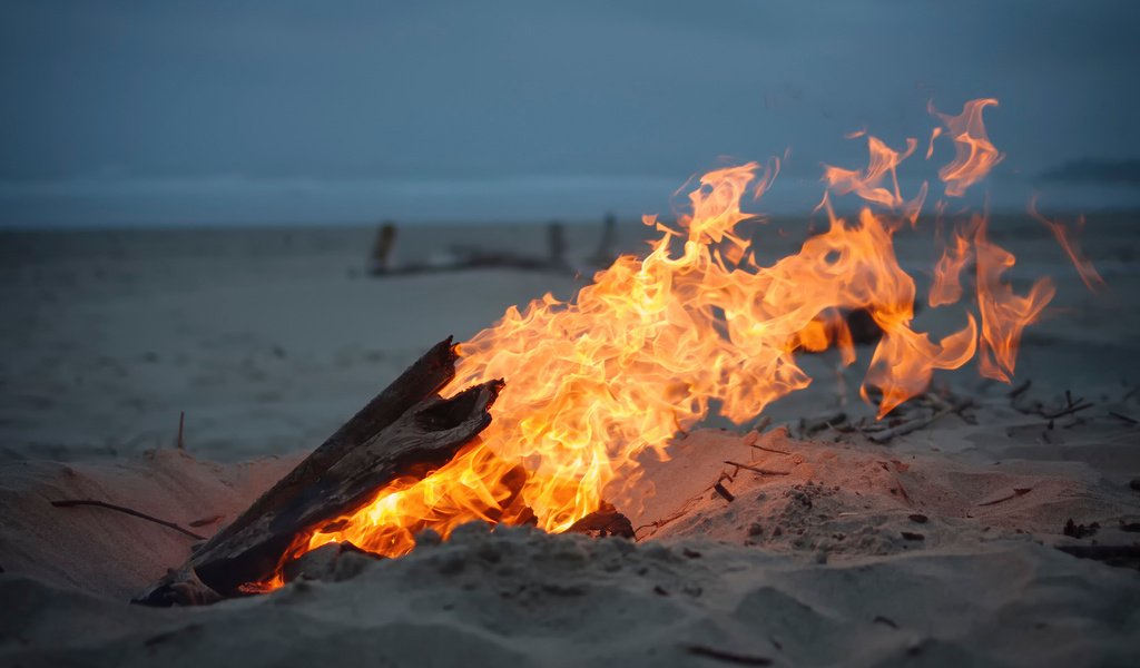 Обои песок, пляж, огонь, костёр, sand, beach, fire, the fire разрешение 2048x1356 Загрузить