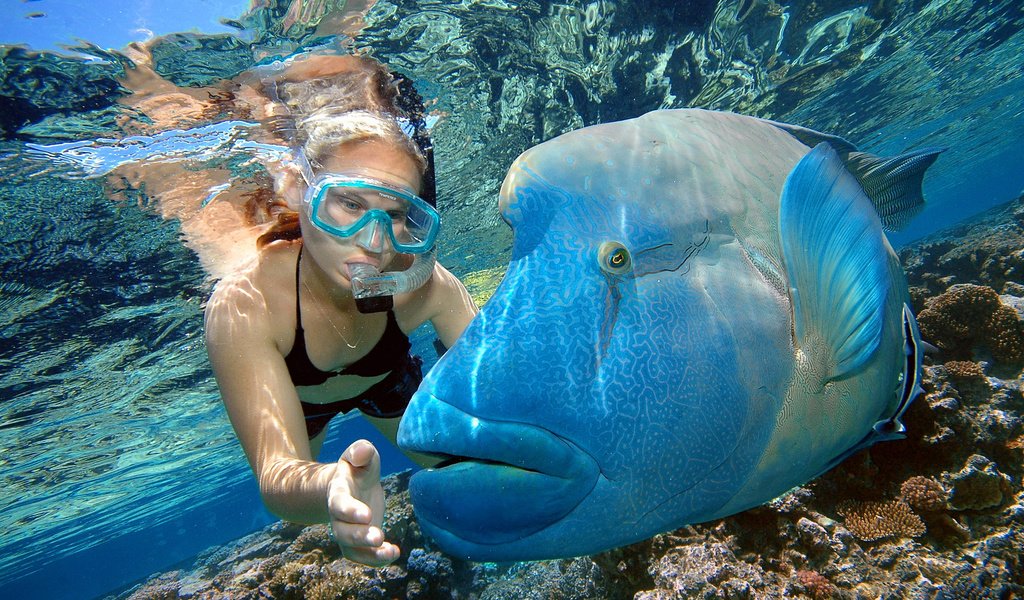 Обои девушка, океан, под водой, рыба, girl, the ocean, under water, fish разрешение 1920x1200 Загрузить