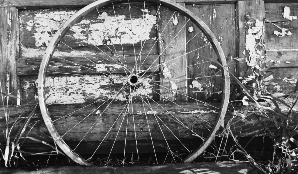 Обои колесо, белая, метал, велосипед, дерева, блака, bicycle wheel, wheel, white, metal, bike, wood, black разрешение 2000x1333 Загрузить