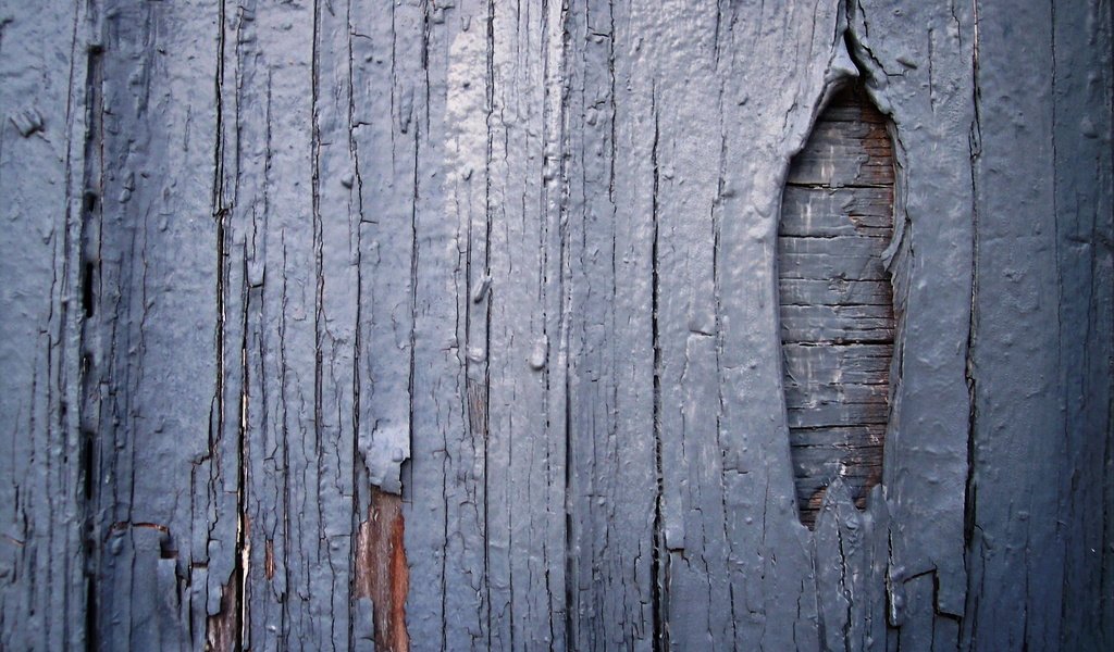 Обои забор, краска, доски, деревянная поверхность, the fence, paint, board, wooden surface разрешение 2580x1932 Загрузить