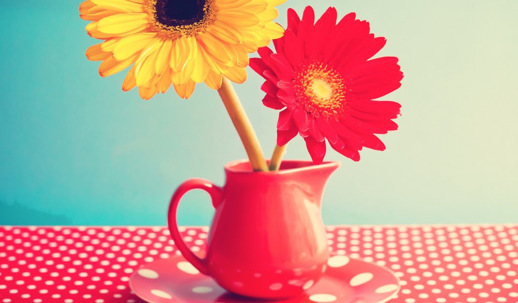 Обои цветы, винтаж, стол, кружка, герберы, гербера,  цветы, flowers, vintage, table, mug, gerbera разрешение 5560x4300 Загрузить