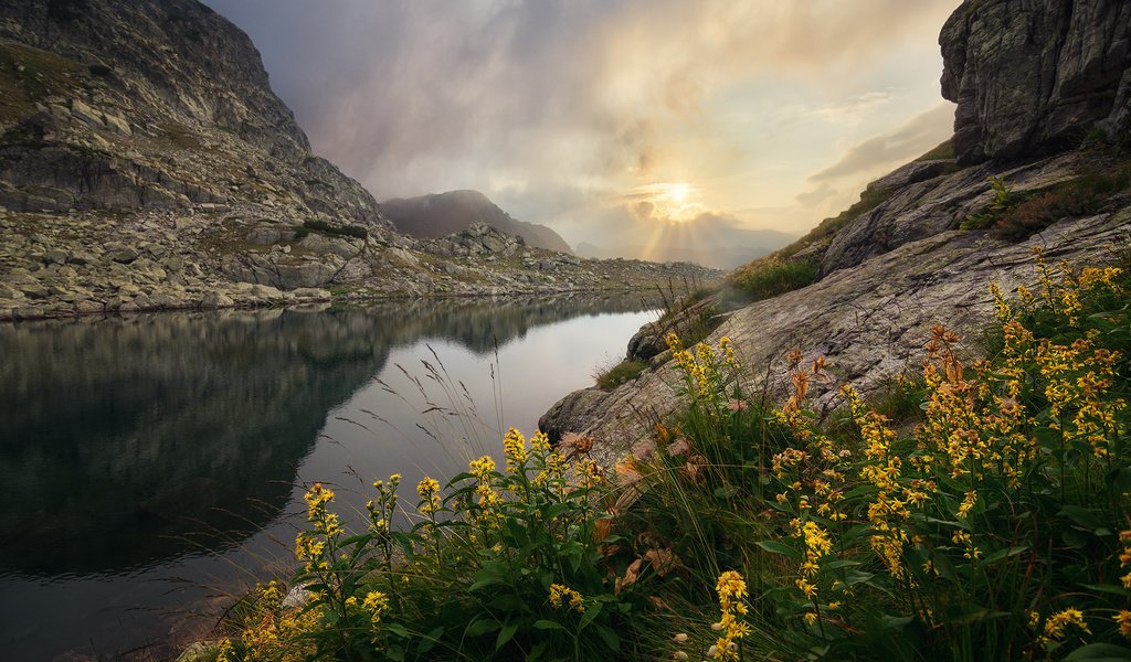 Обои цветы, озеро, горы, скалы, камни, flowers, lake, mountains, rocks, stones разрешение 2000x1333 Загрузить