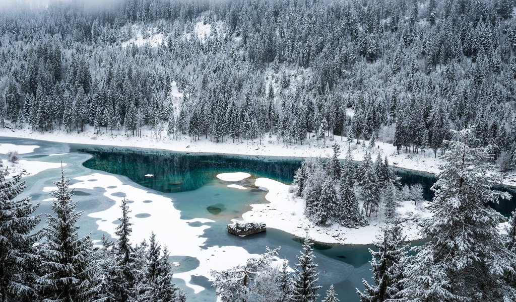 Обои снег, лес, зима, швейцария, озеро каума, флимс, snow, forest, winter, switzerland, lake cauma, flims разрешение 3000x2003 Загрузить