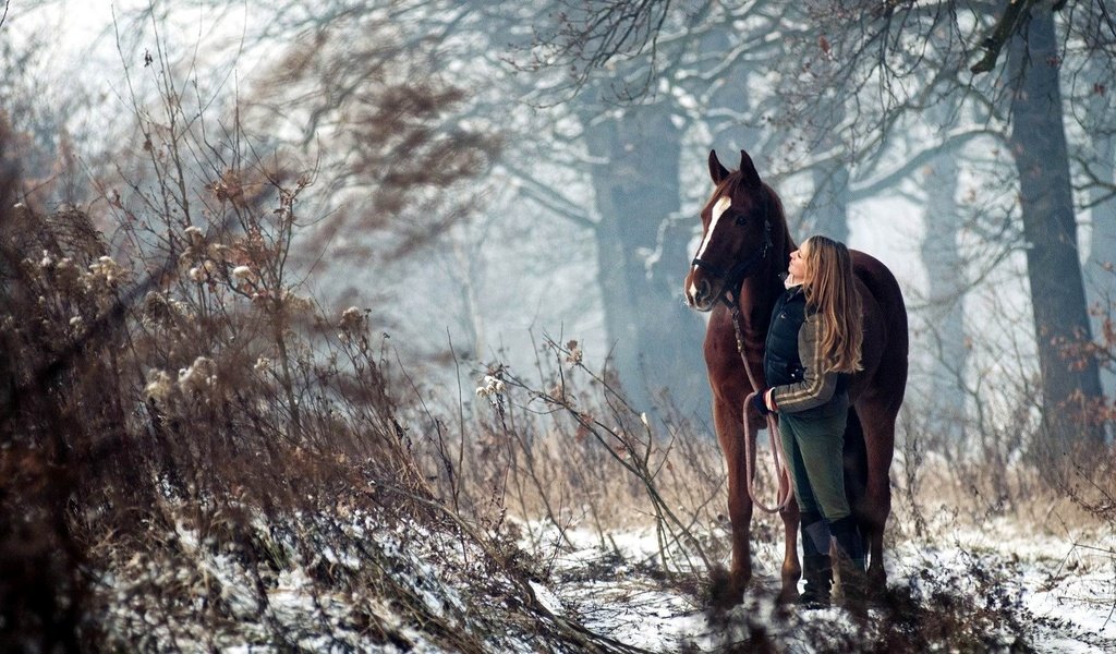 Обои лошадь, деревья, снег, лес, девушка, конь, наездница, horse, trees, snow, forest, girl, rider разрешение 1920x1080 Загрузить