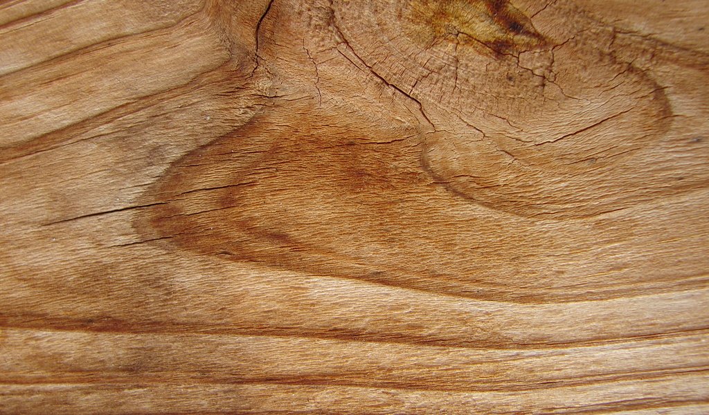 Обои дерево, текстура, фон, древесина, етекстура, tree, texture, background, wood разрешение 2592x1944 Загрузить