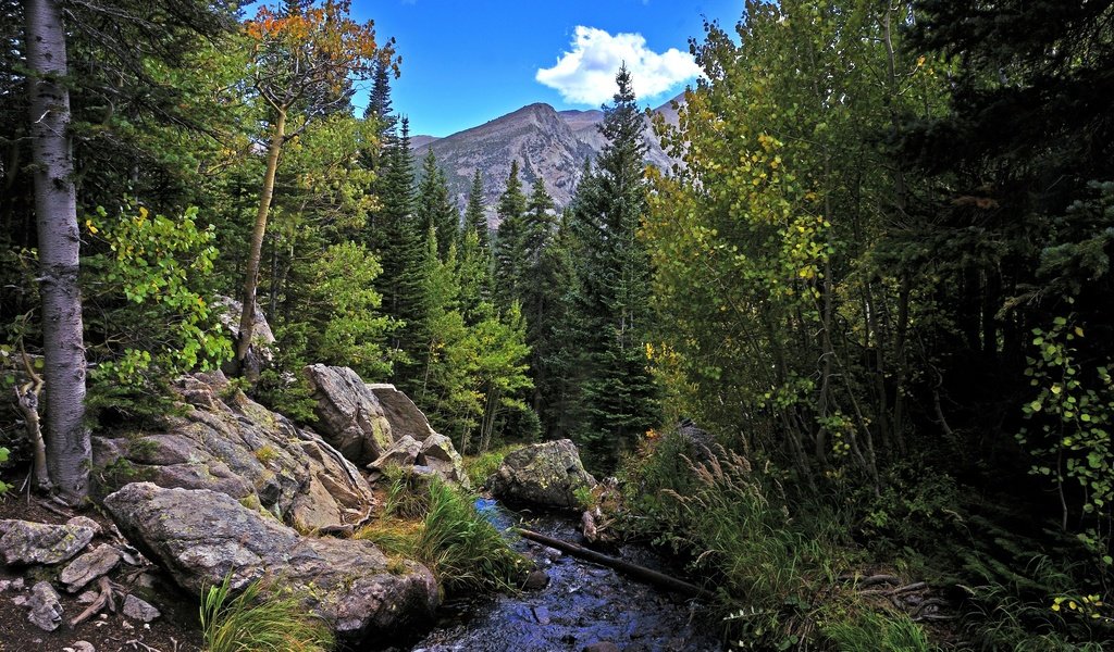 Обои деревья, река, горы, скалы, лес, пейзаж, осень, rocky mountain national park, trees, river, mountains, rocks, forest, landscape, autumn разрешение 2880x1908 Загрузить