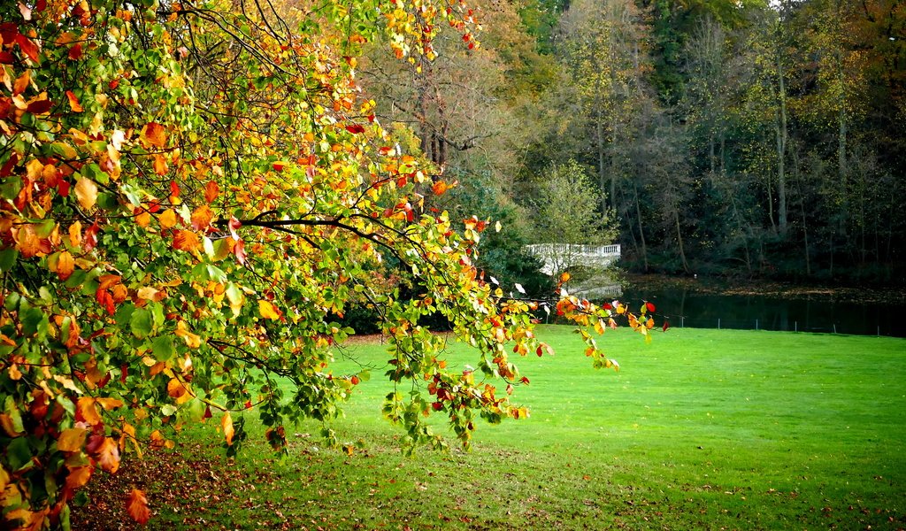 Обои деревья, пейзаж, поле, мост, лондон, осень, hampstead heath, trees, landscape, field, bridge, london, autumn разрешение 4327x2310 Загрузить