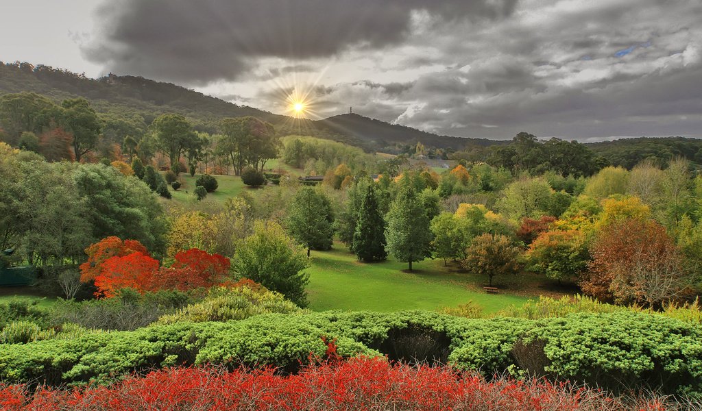 Обои пейзаж, осень, lofty botanic gardens, аделаида-хиллс, южная австралия, landscape, autumn, adelaide hills, south australia разрешение 2256x1496 Загрузить