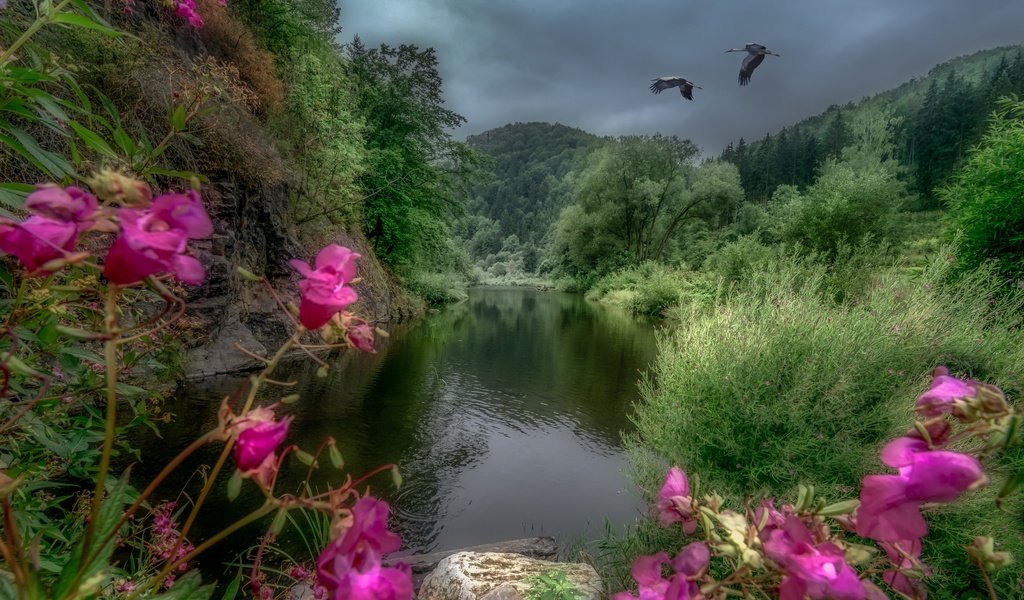 Обои деревья, река, горы, пейзаж, австрия, журавли, river kamp, trees, river, mountains, landscape, austria, cranes разрешение 2880x1922 Загрузить