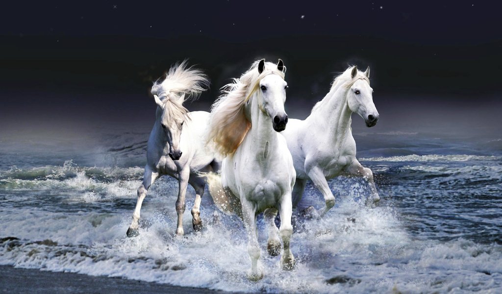 Обои вода, волны, лошади, кони, бег, красавцы, water, wave, horse, horses, running, handsome разрешение 1920x1080 Загрузить