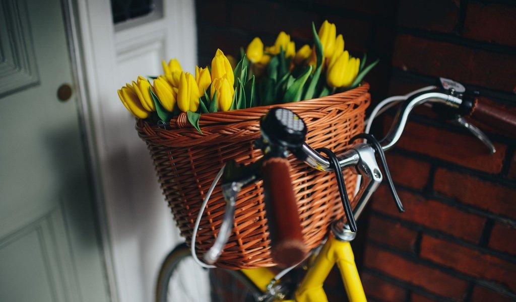 Обои цветы, корзина, тюльпаны, красивые, велосипед, flowers, basket, tulips, beautiful, bike разрешение 2880x1922 Загрузить