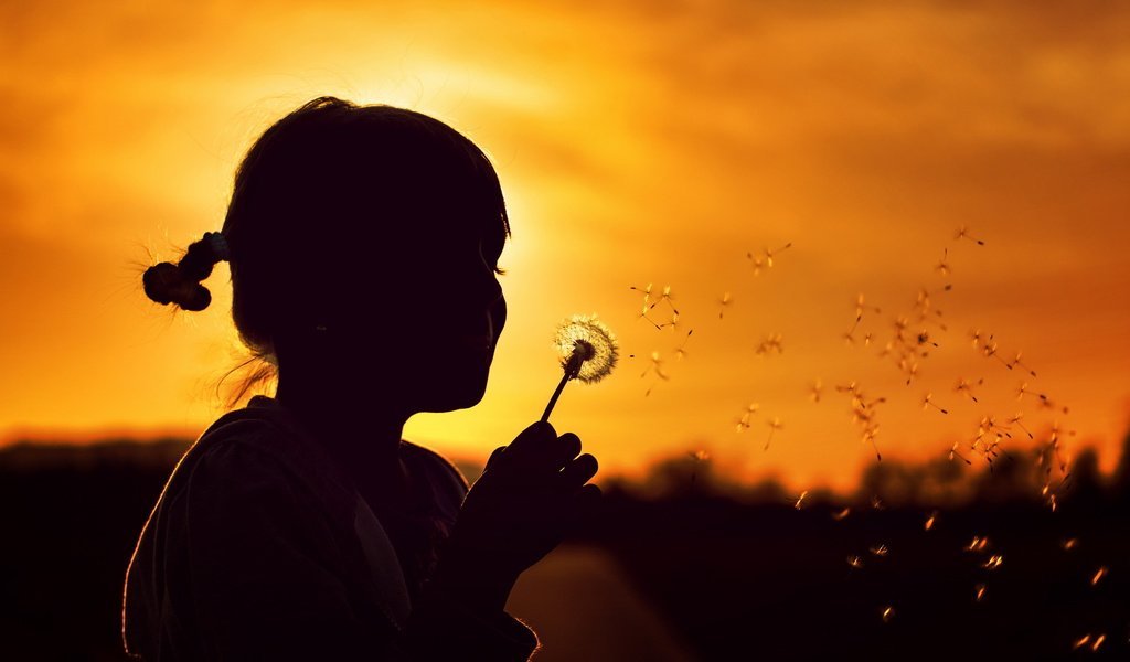 Обои природа, закат, девочка, силуэт, одуванчик, детство, nature, sunset, girl, silhouette, dandelion, childhood разрешение 2560x1600 Загрузить