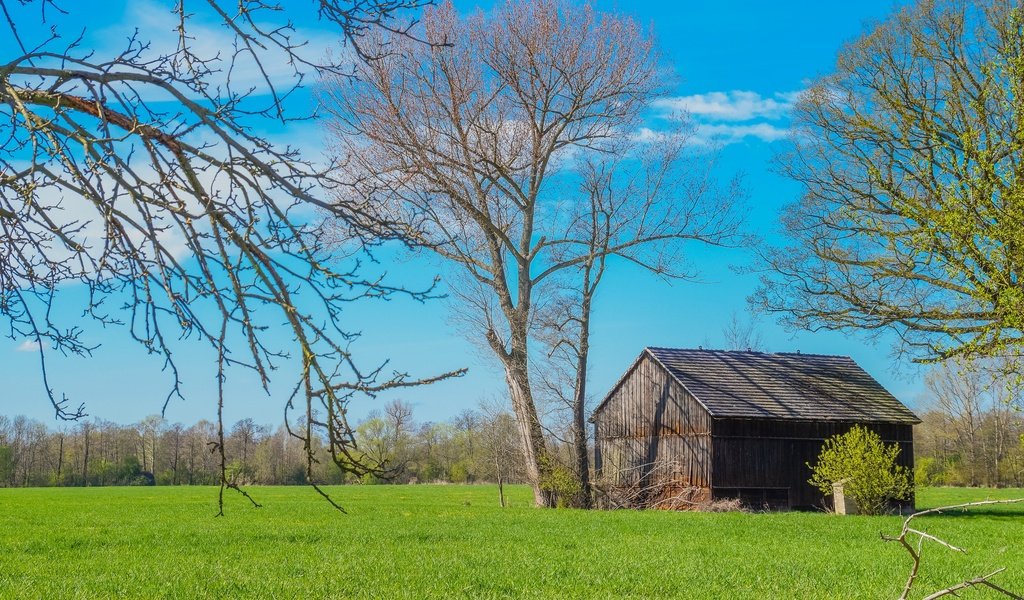 Обои деревья, пейзаж, поле, дом, trees, landscape, field, house разрешение 2880x1917 Загрузить