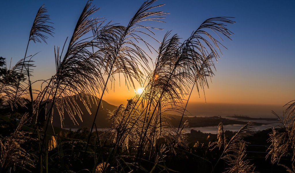 Обои небо, трава, вечер, солнце, закат, тучи, поле, луг, the sky, grass, the evening, the sun, sunset, clouds, field, meadow разрешение 2880x1800 Загрузить