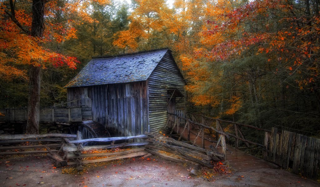 Обои лес, осень, мельница, дом, водяная мельница, forest, autumn, mill, house, water mill разрешение 2048x1367 Загрузить