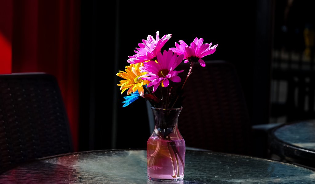 Обои цветы, фон, букет, ваза, герберы, flowers, background, bouquet, vase, gerbera разрешение 2048x1365 Загрузить