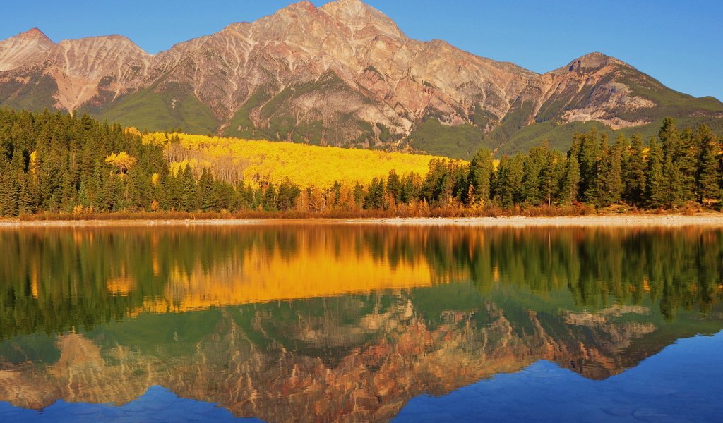 Обои озеро, рatricia lake, canadia, горы, берег, лес, отражение, осень, канада, национальный парк банф, lake, mountains, shore, forest, reflection, autumn, canada, banff national park разрешение 1920x1280 Загрузить