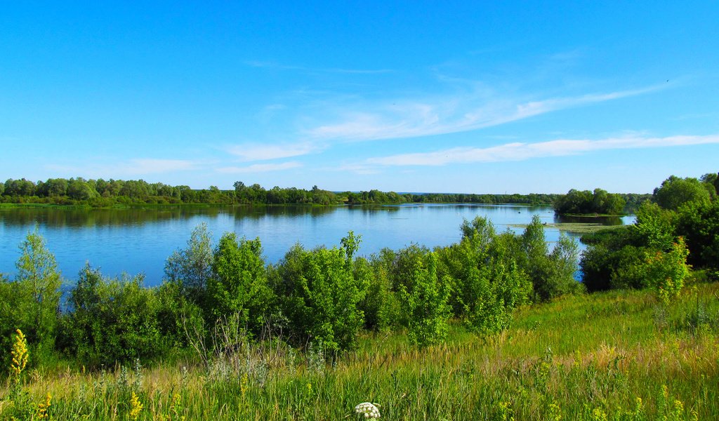 Обои небо, деревья, река, сура, берег реки, the sky, trees, river, sur, the river разрешение 2560x1600 Загрузить