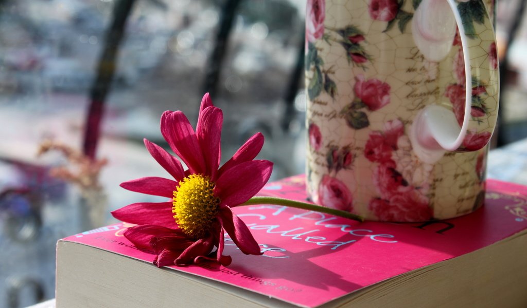 Обои цветок, лепестки, кружка, розовые, чашка, книга, flower, petals, mug, pink, cup, book разрешение 2560x1600 Загрузить