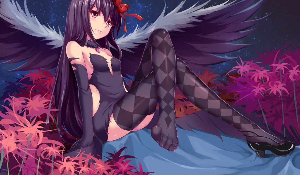 Обои девушка, взгляд, крылья, чулки, akemi homura, mahou shoujo madoka magica, girl, look, wings, stockings разрешение 3507x2480 Загрузить