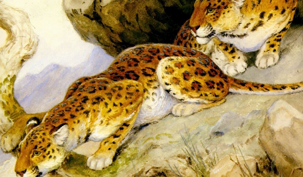 Обои арт, хищники, леопарды, живопись, georges-frederic rotig, art, predators, leopards, painting разрешение 2391x1970 Загрузить