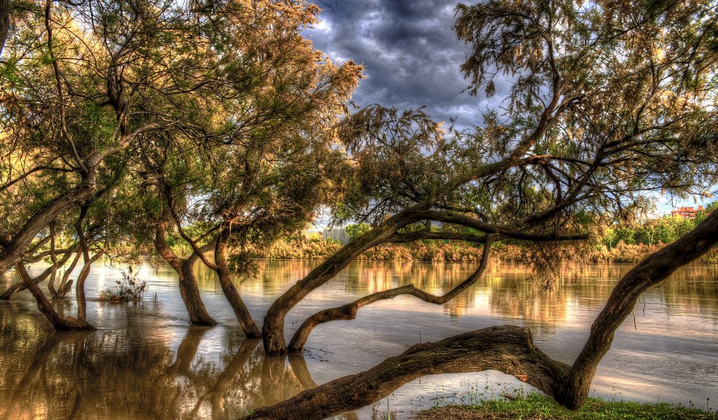 Обои деревья, река, осень, испания, hdr, в воде, aragon, сарагоса, trees, river, autumn, spain, in the water, zaragoza разрешение 2048x1365 Загрузить