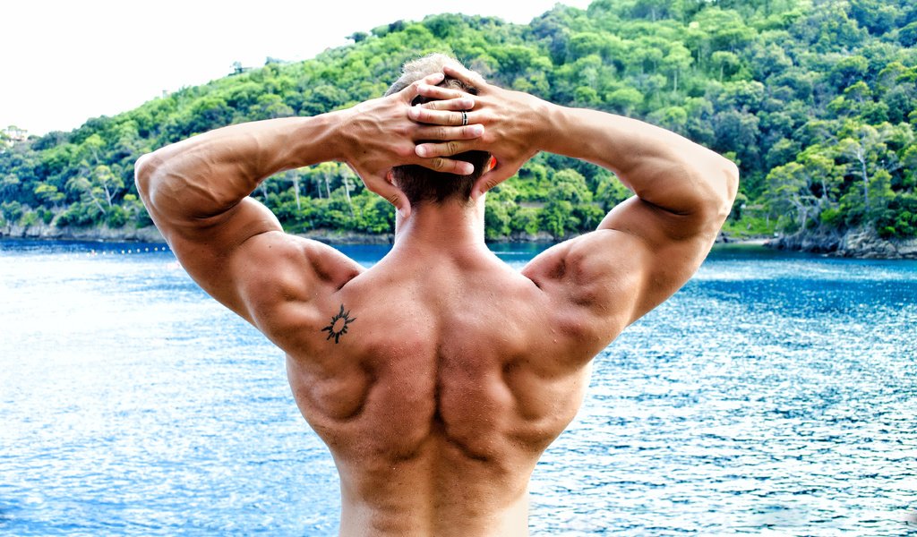 Обои поза, мужчина, мужики, сзади, бодибилдер, pose, male, men, back, bodybuilder разрешение 4928x3148 Загрузить