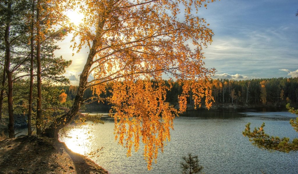 Обои свет, река, солнце, осень, береза, light, river, the sun, autumn, birch разрешение 2200x1450 Загрузить