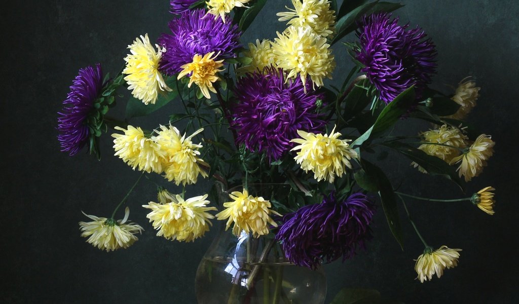 Обои букет, сливы, астры, bouquet, plum, asters разрешение 2100x1662 Загрузить