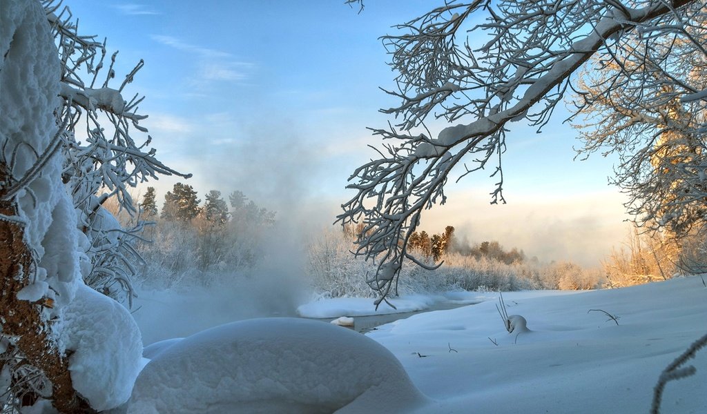 Обои деревья, снег, зима, ветки, trees, snow, winter, branches разрешение 1920x1285 Загрузить