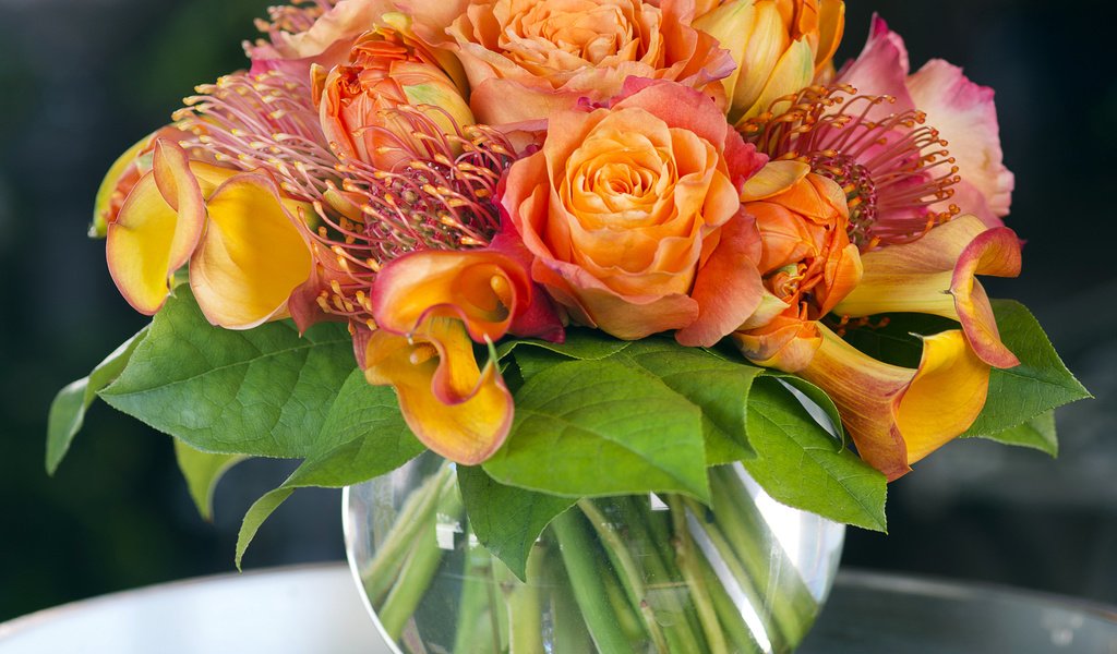 Обои розы, букет, ваза, роз, букеты, callas, roses, bouquet, vase, bouquets разрешение 3000x2320 Загрузить