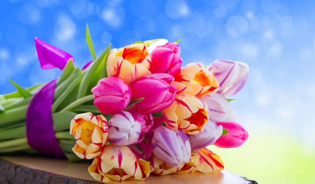 Обои цветы, букет, тюльпаны, flowers, bouquet, tulips разрешение 2560x1600 Загрузить