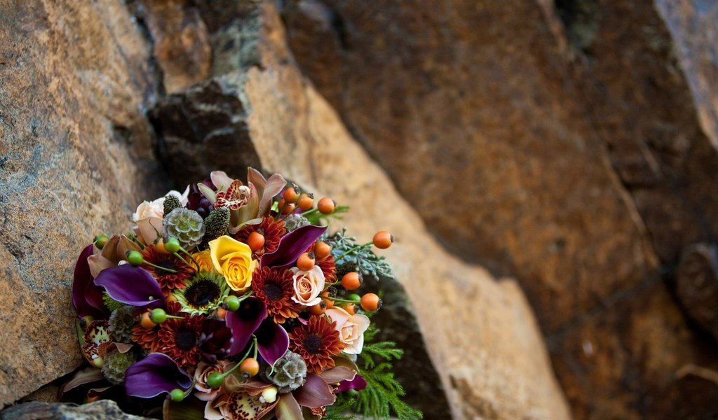 Обои цветы, камни, розы, букет, каллы, орхидеи, flowers, stones, roses, bouquet, calla lilies, orchids разрешение 1920x1200 Загрузить