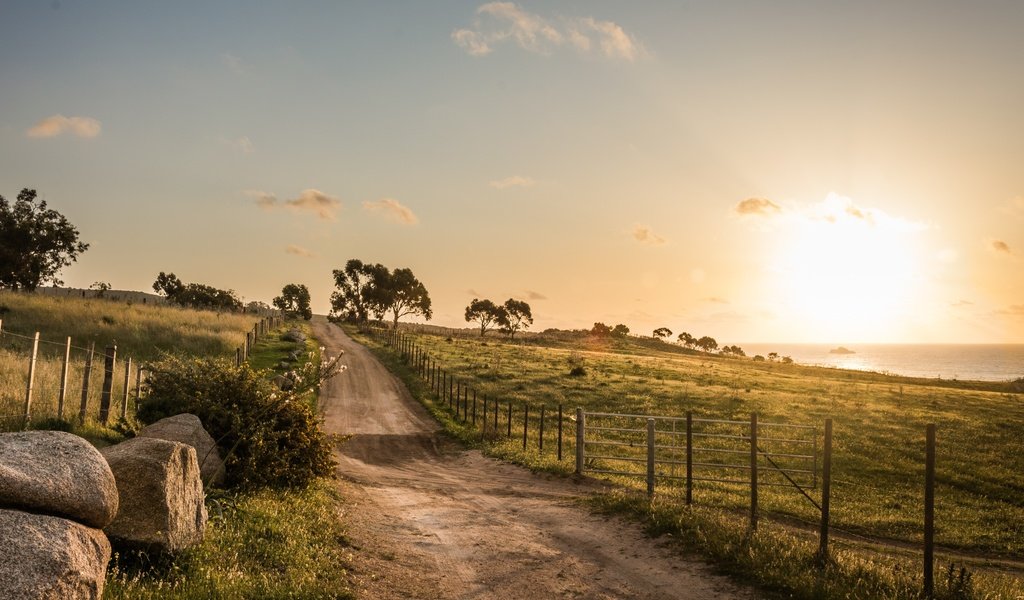 Обои дорога, деревья, утро, поля, road, trees, morning, field разрешение 3872x2581 Загрузить