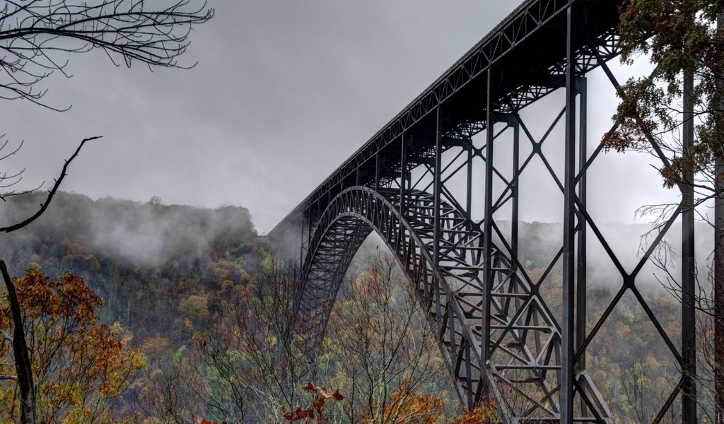 Обои деревья, лес, туман, мост, осень, trees, forest, fog, bridge, autumn разрешение 3840x2160 Загрузить