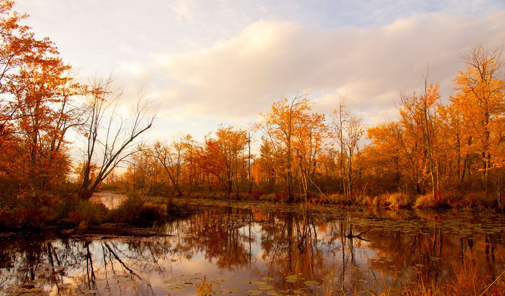 Обои небо, облака, деревья, река, отражение, осень, the sky, clouds, trees, river, reflection, autumn разрешение 2048x1260 Загрузить