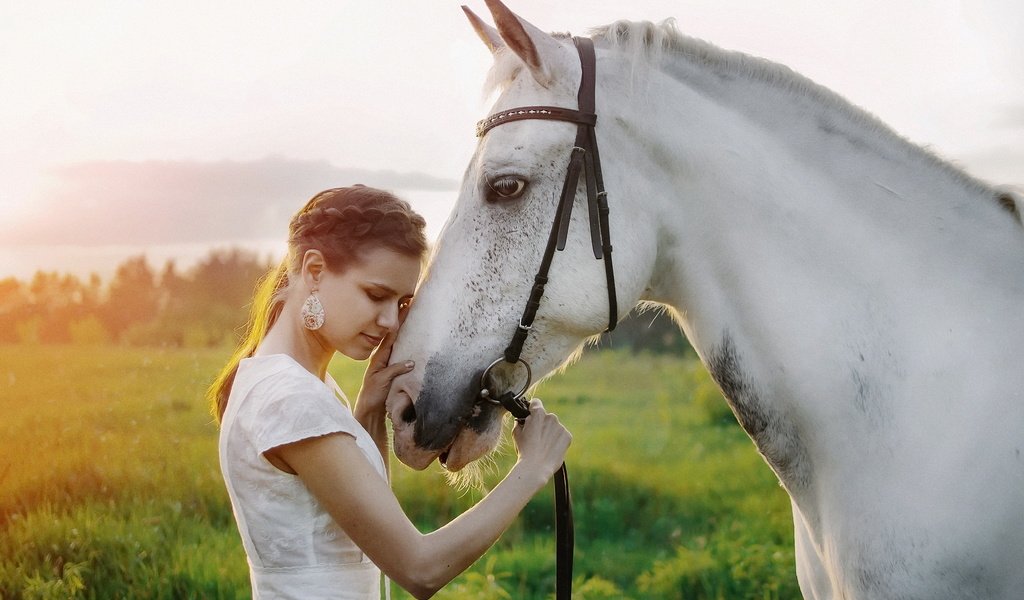 Обои лошадь, природа, девушка, портрет, лето, конь, натали, yevgen shatalov, horse, nature, girl, portrait, summer, natalie разрешение 2048x1365 Загрузить