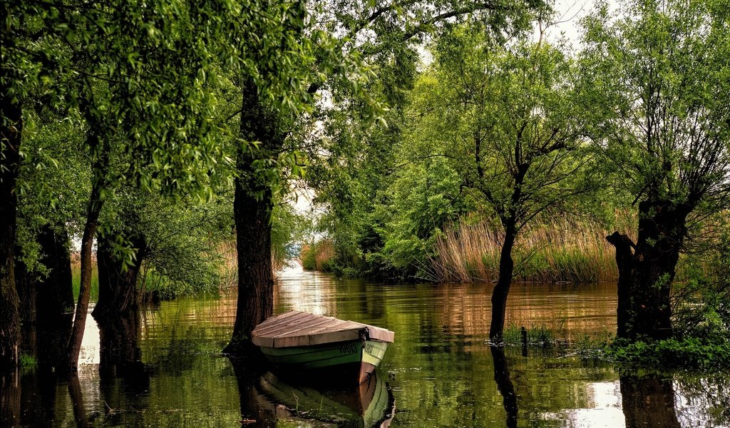 Обои деревья, река, австрия, лодка, форарльберг, trees, river, austria, boat, vorarlberg разрешение 2036x1357 Загрузить