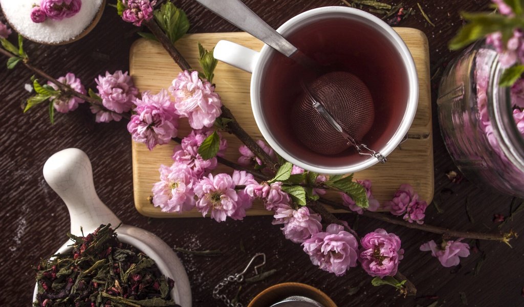 Обои сакура, чашка, чай, sakura, cup, tea разрешение 2400x1600 Загрузить